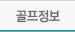 마이골프